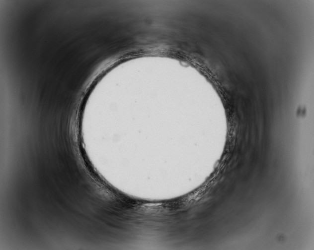 X0000103330054200810171433