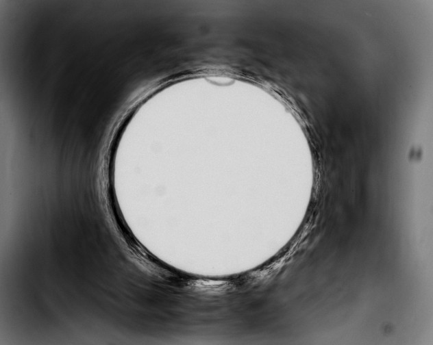 X0000103330055200810171433