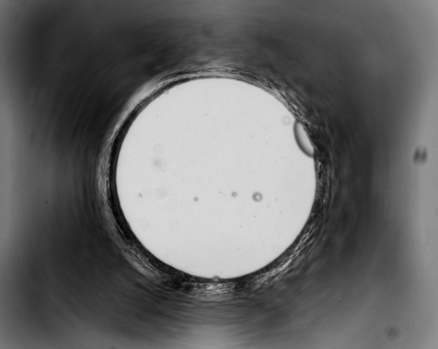 X0000103330056200810171433