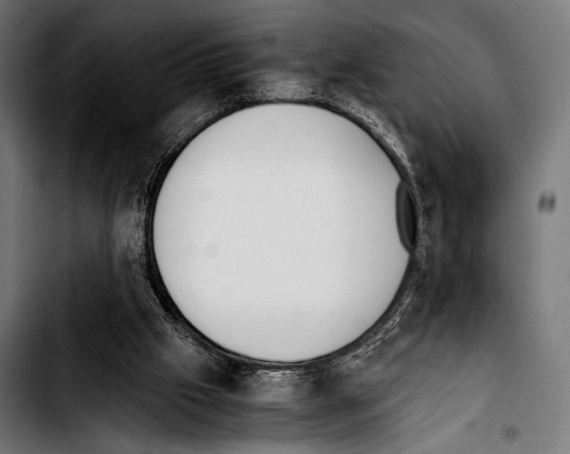 X0000103330057200810171433