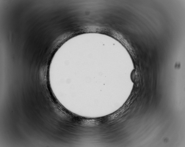 X0000103330058200810171433