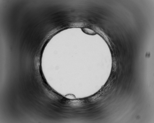 X0000103330059200810171433