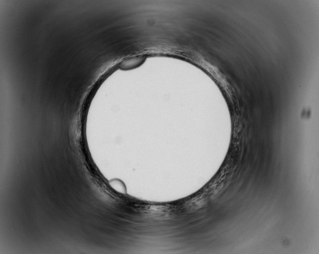 X0000103330060200810171433