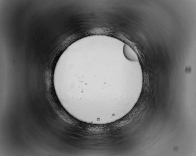 X0000103330061200810171433