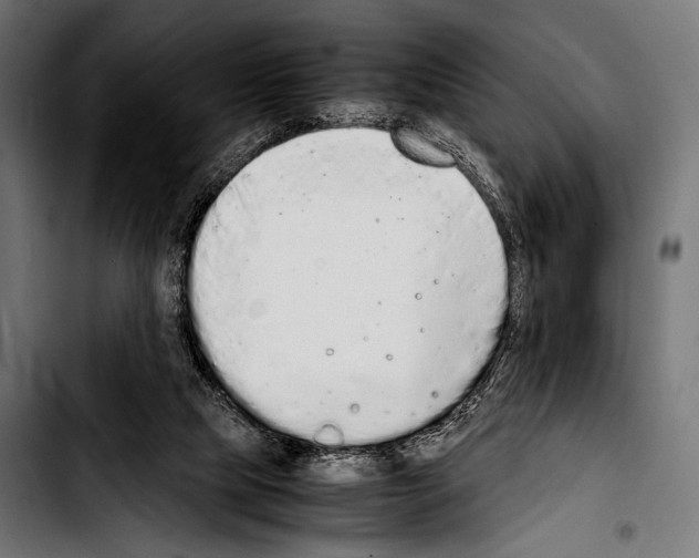 X0000103330065200810171433