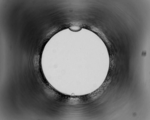 X0000103330066200810171433