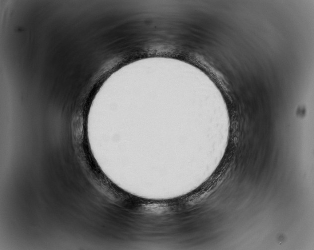 X0000103330067200810171433