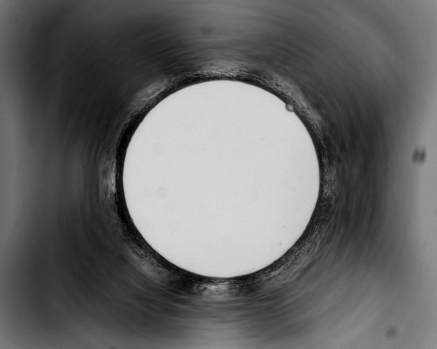 X0000103330068200810171433