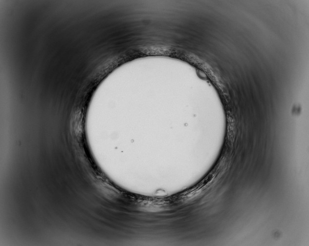 X0000103330069200810171433