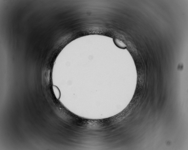 X0000103330070200810171433