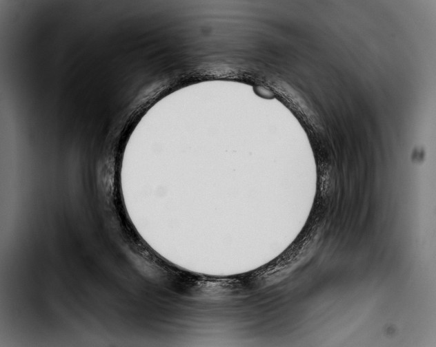 X0000103330072200810171433