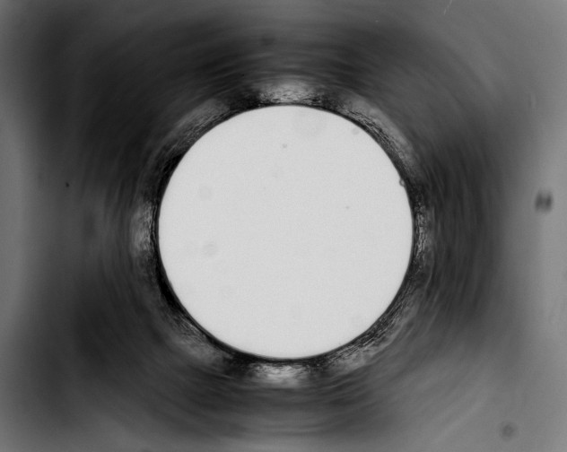 X0000103330073200810171433