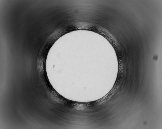 X0000103330074200810171433