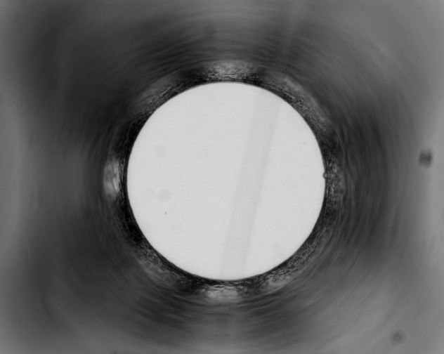 X0000103330075200810171433