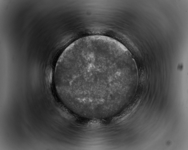 X0000103330076200810171433