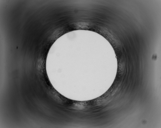 X0000103330079200810171433