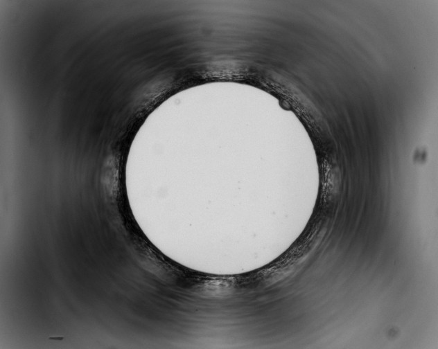 X0000103330080200810171433