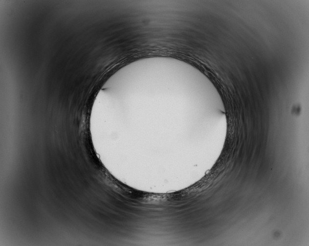 X0000103330084200810171434