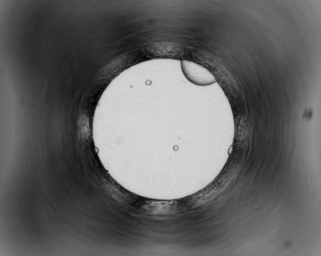 X0000103330089200810171434