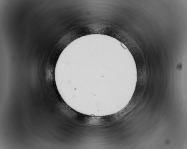 X0000103330090200810171434