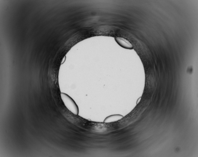 X0000103330091200810171434