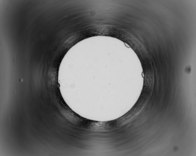 X0000103330092200810171434