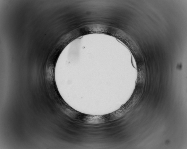 X0000103330093200810171434