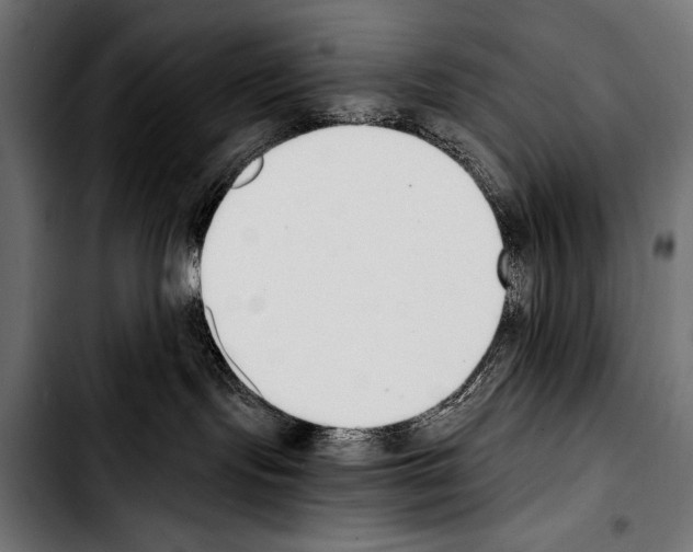 X0000103330095200810171434