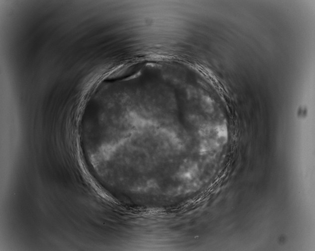 X0000103330097200810171433