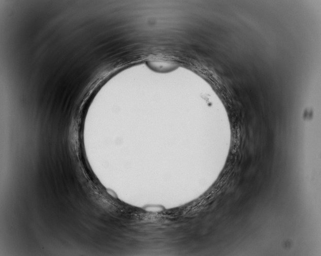 X0000103330098200810171433