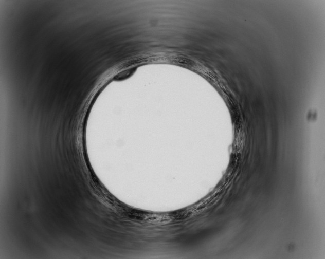 X0000103330099200810171433