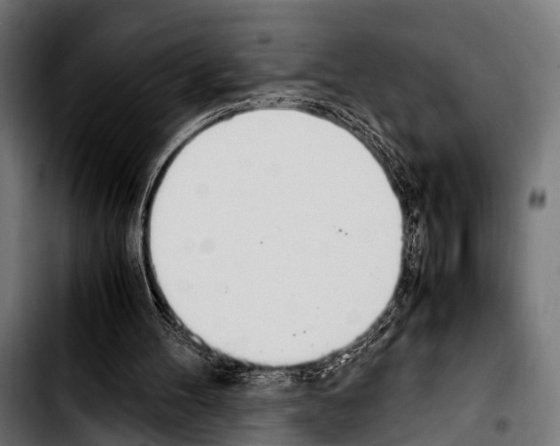 X0000103330100200810171433