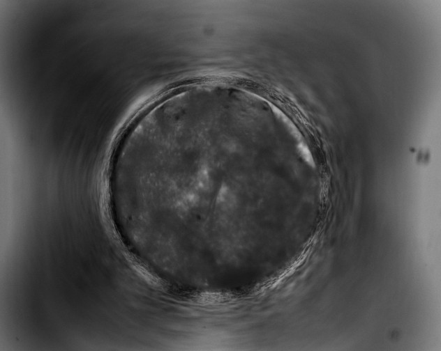 X0000103330101200810171433