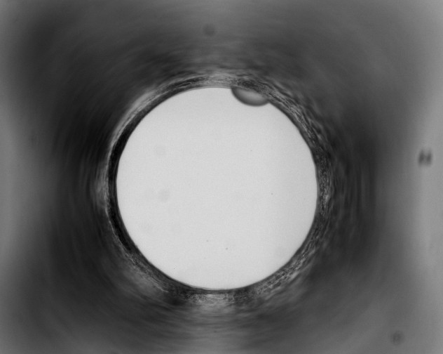 X0000103330102200810171433