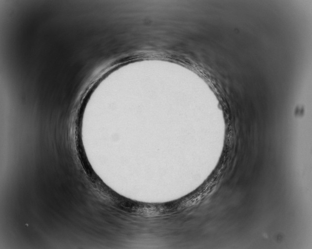 X0000103330103200810171433