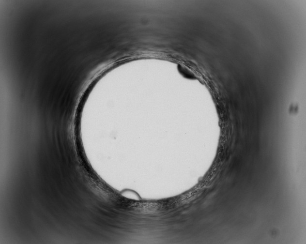 X0000103330104200810171433