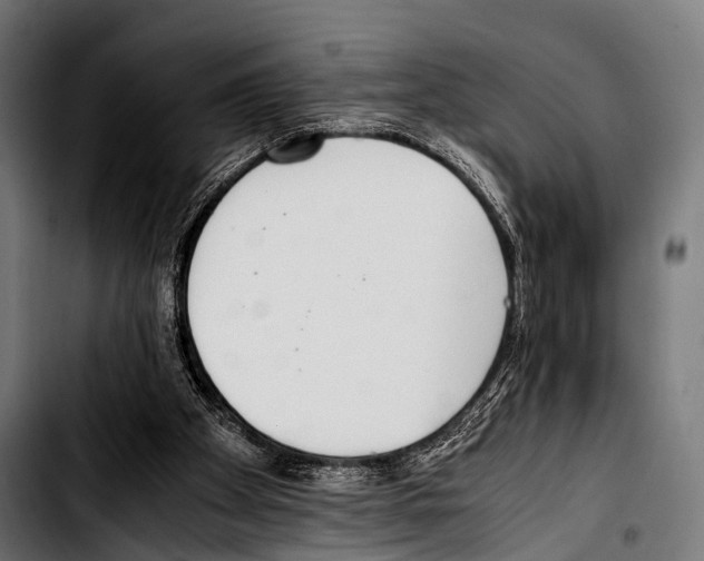 X0000103330105200810171433