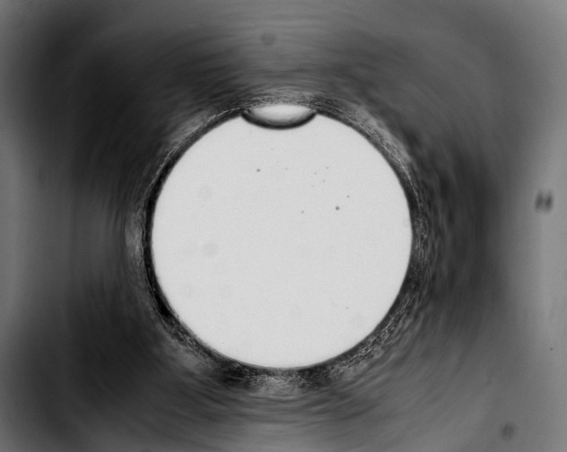 X0000103330107200810171433