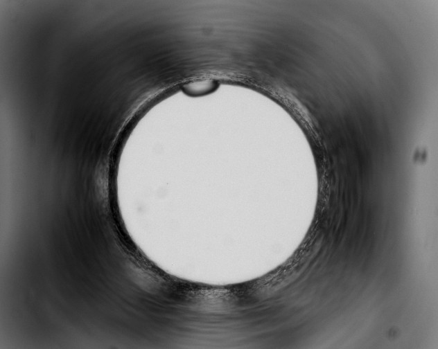 X0000103330108200810171433