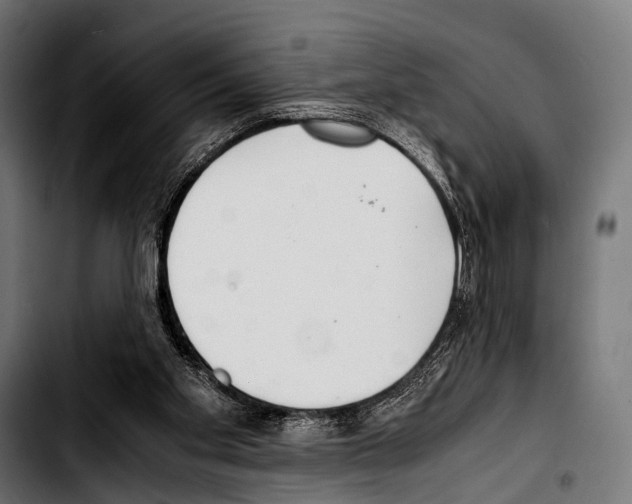 X0000103330109200810171433