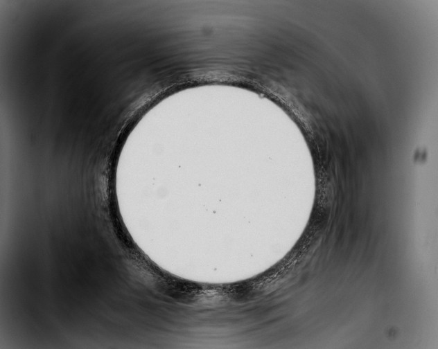 X0000103330111200810171433