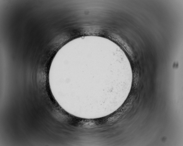 X0000103330113200810171433