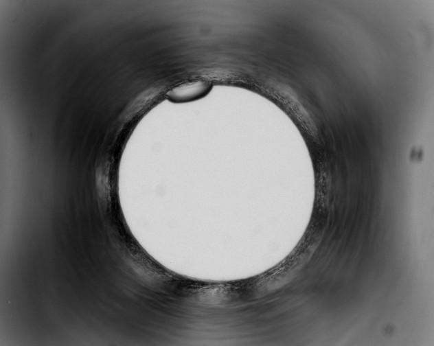 X0000103330116200810171433