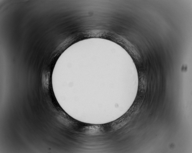 X0000103330118200810171433