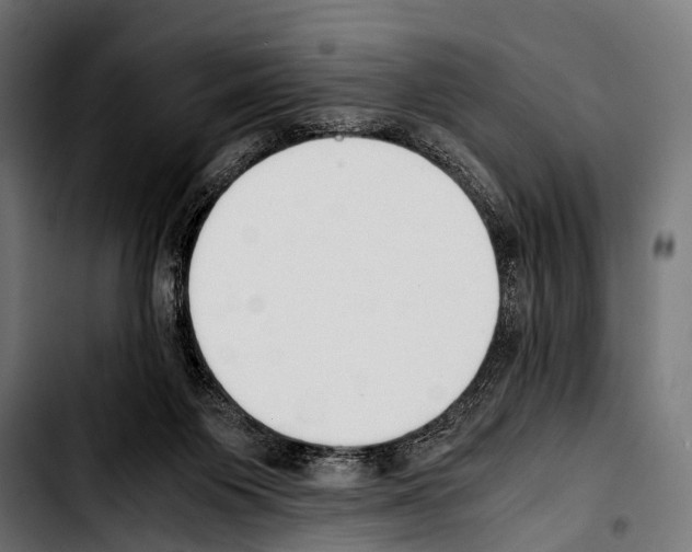 X0000103330119200810171433