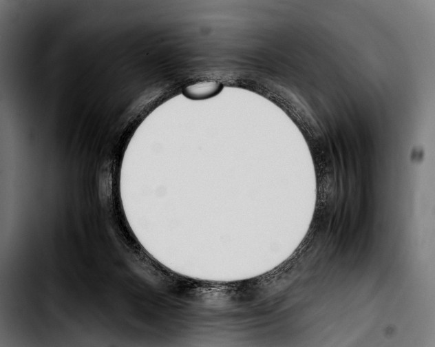 X0000103330120200810171433