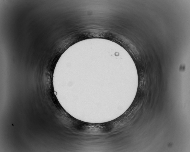 X0000103330121200810171433