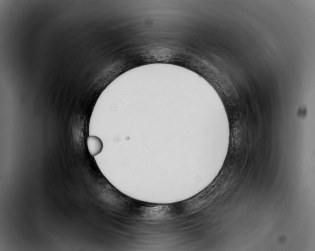 X0000103330122200810171433