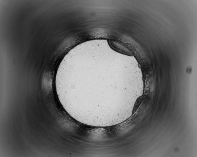 X0000103330124200810171433