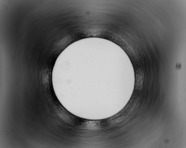 X0000103330126200810171433